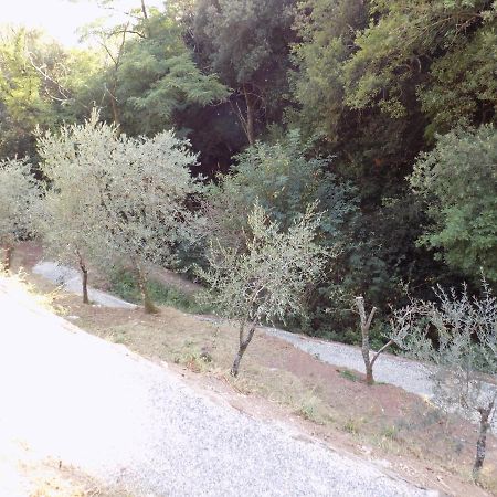 卡麦奥雷Fattoria Ceragioli别墅 外观 照片